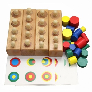 Giocattolo educativo colorato in legno con pezzi colorati