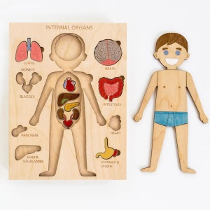 Puzzle in legno verniciabile del corpo umano per bambini